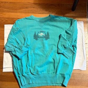 American Eagle Outfitters Teal Crewneck Sweater